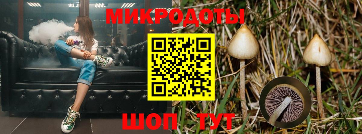 Псилоцибиновые грибы MAGIC MUSHROOMS Майский